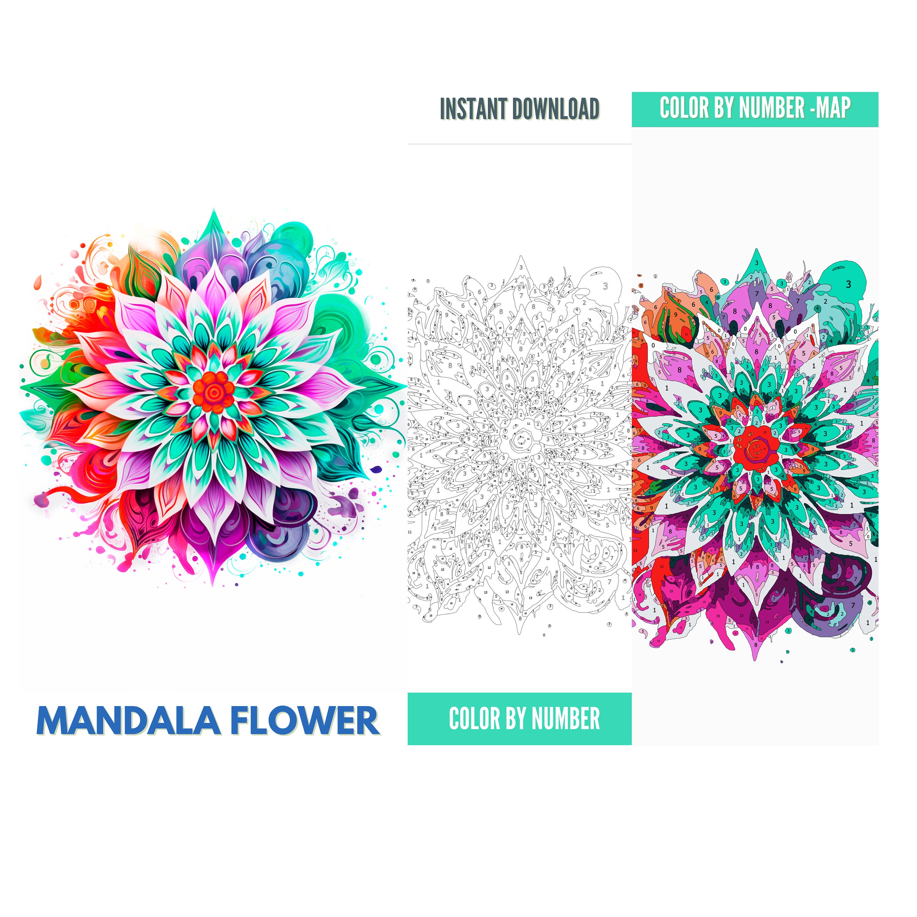Color by Number for Adultpaint by Number Printable5 Mandala - Etsy