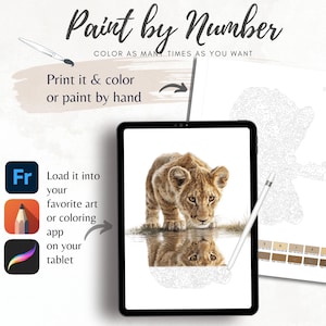 Baby Lion Color By Number for Adult, Paint by Number Printable,Wild Animal ,Sheets Digital Download,Advanced detailed Book| 1827