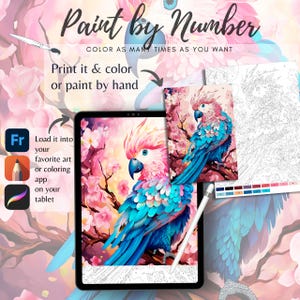 Color By Number for Adult,Paint by Number Printable,Beautiful Parrot , Coloring Pages,Sheet Digital Download,Advanced detailed Book|1300