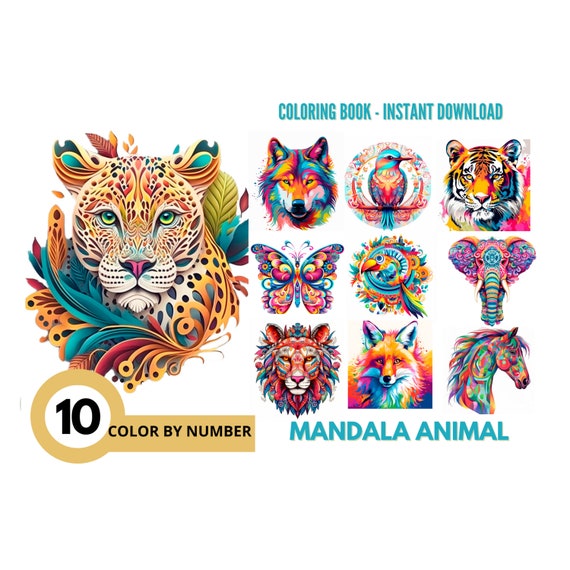 Tiger - Números y colores  Dibujos para colorear adultos