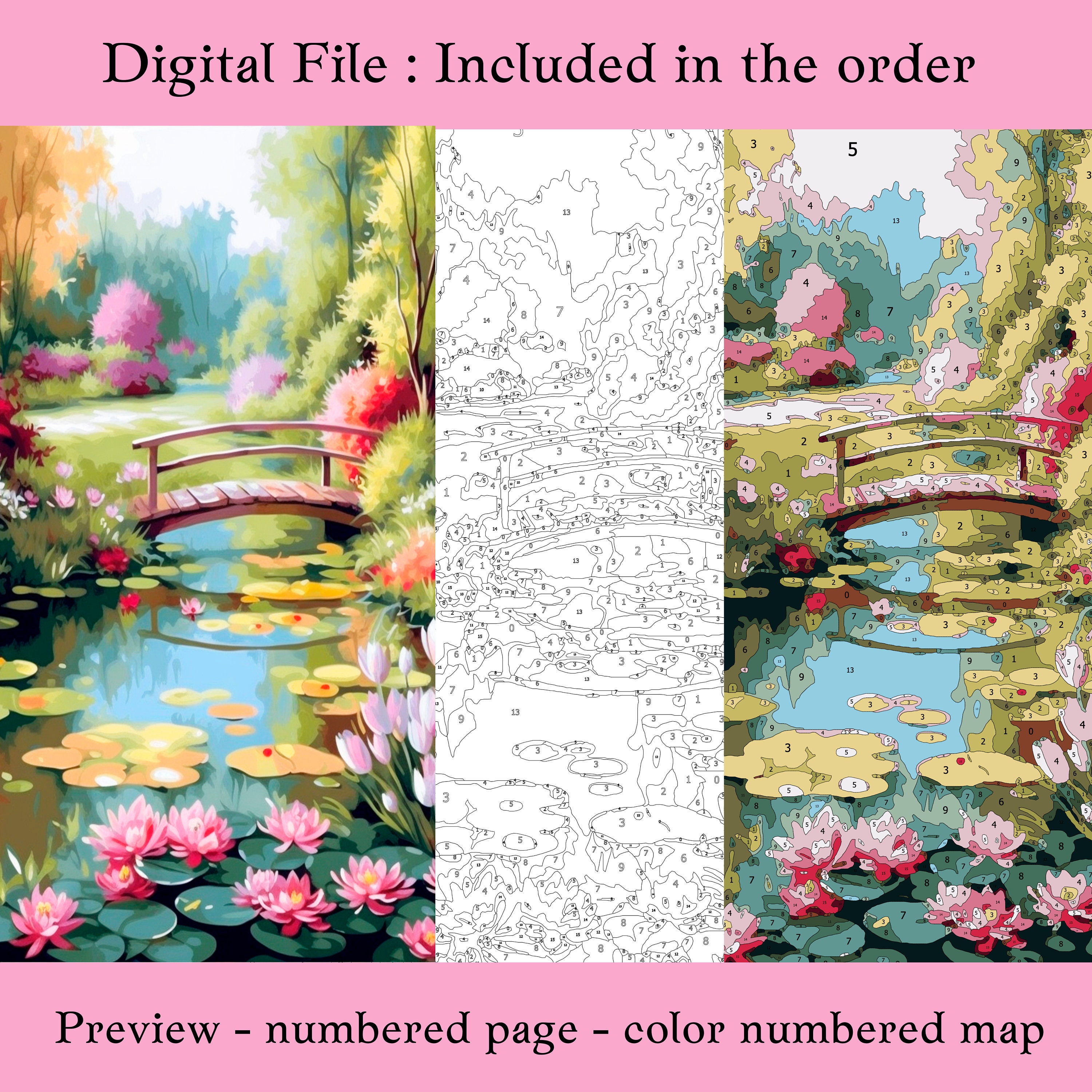 Color by Number for Adultpaint by Number Printable10 Beauty - Etsy