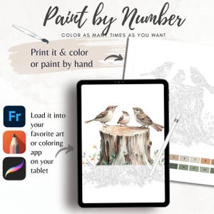 Color By Number for Adult| Wild Bird Woodland Animal Paint by Number Printable,Coloring Page ,Sheet Digital Download,Advanced detailed| 1816