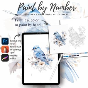 Color By Number for Adult, Paint by Number Printable,Beautiful Bird, Coloring Pages ,Sheets Digital Download,Advanced detailed Book| 1171