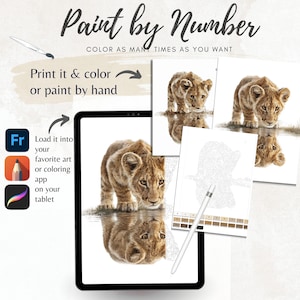 Baby Lion Color By Number for Adult, Paint by Number Printable,Wild Animal ,Sheets Digital Download,Advanced detailed Book| 1827