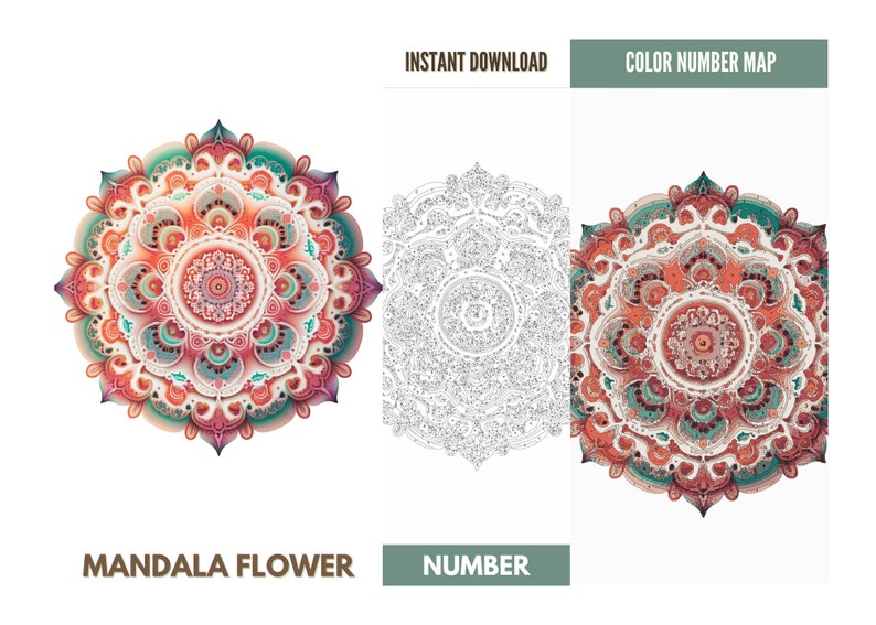 5 Color by Number Adult,paint by Number Printable,mandala Flower, Coloring Pages Digital ...