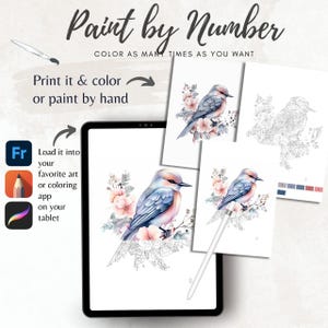 Color By Number for Adult, Paint by Number Printable,Beautiful Bird, Coloring Pages ,Sheets Digital Download,Advanced detailed Book| 1173