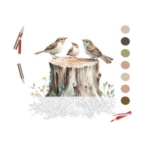 Color By Number for Adult| Wild Bird Woodland Animal Paint by Number Printable,Coloring Page ,Sheet Digital Download,Advanced detailed| 1816