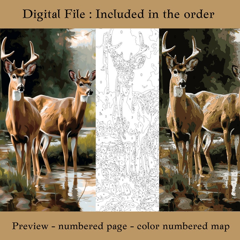 Color Buck Numbers Beautiful Deer Color by Number for Adult for Procreate, Paint by Number ...