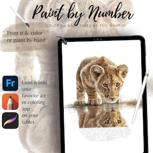 Baby Lion Color By Number for Adult, Paint by Number Printable,Wild Animal ,Sheets Digital Download,Advanced detailed Book| 1827