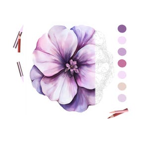 Op de afbeelding: Een aquarel schilderij van een grote, open bloem in tinten paars en roze. De linkerkant van de bloem is volledig gekleurd, terwijl de rechterkant een paint-by-numbers omtrek is. Kleurstalen en potloden zijn ook inbegrepen.
