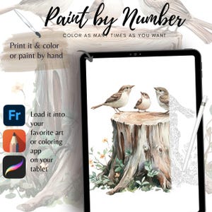 Color By Number for Adult| Wild Bird Woodland Animal Paint by Number Printable,Coloring Page ,Sheet Digital Download,Advanced detailed| 1816