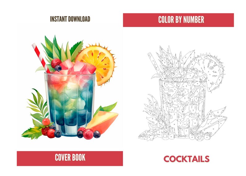 Color by Number for Adultpaint by Number Printable5 - Etsy