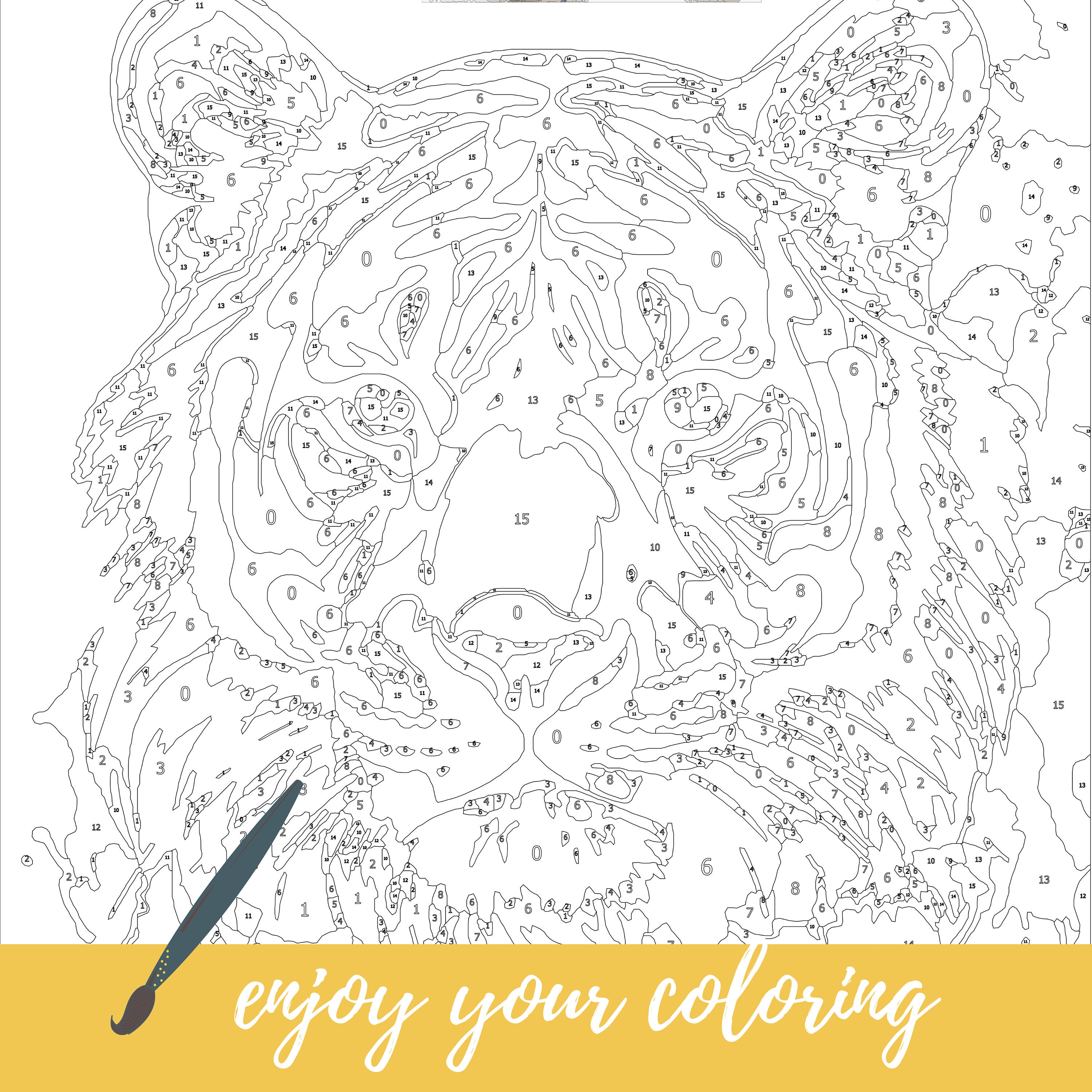 ANIMAL STENCILS Color By Number: Activity Coloring Book for Adults