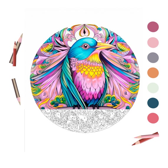 Color By Number Coloring Book For Adults: Large Print Birds, Flowers,  Animals and Pretty Patterns (Adult Color By Number) (Large Print /  Paperback)