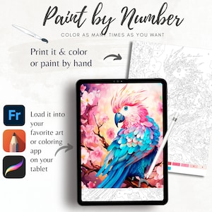 Color By Number for Adult,Paint by Number Printable,Beautiful Parrot , Coloring Pages,Sheet Digital Download,Advanced detailed Book|1300