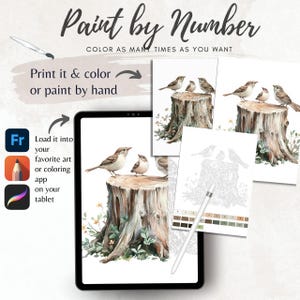 Color By Number for Adult| Wild Bird Woodland Animal Paint by Number Printable,Coloring Page ,Sheet Digital Download,Advanced detailed| 1816