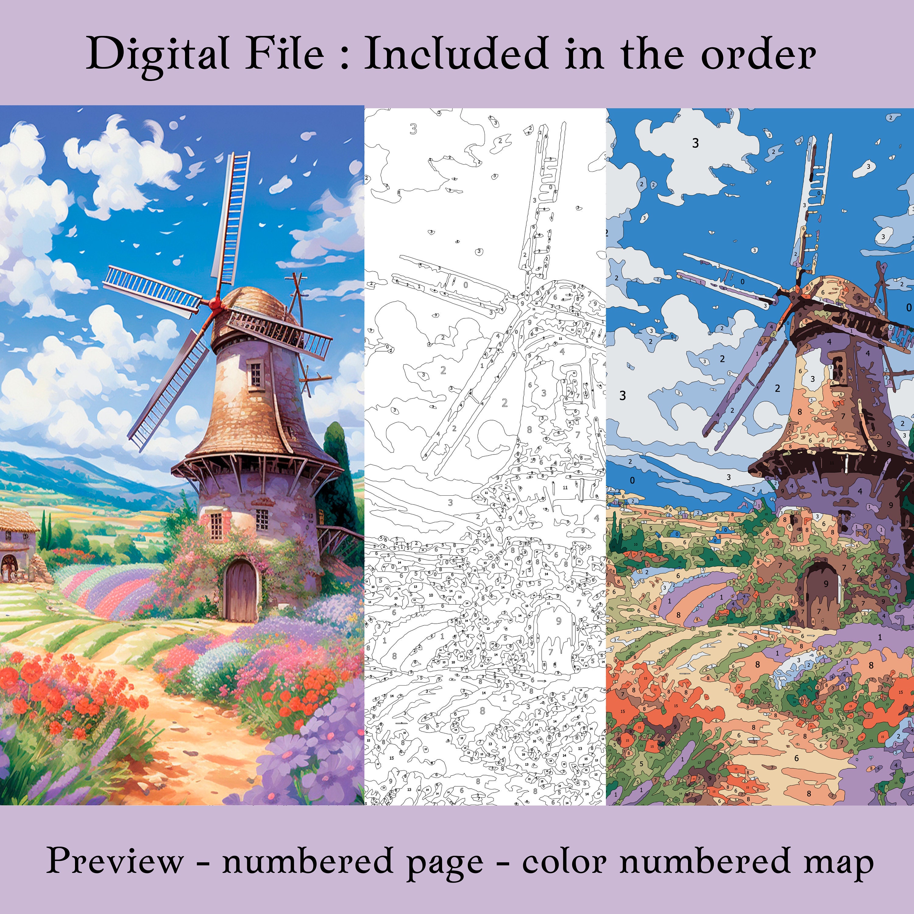 Color by Number for Adultpaint by Number Printable10 Beauty - Etsy