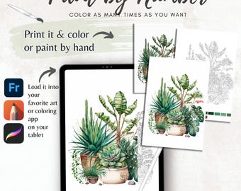 May include: A digital paint-by-number design featuring watercolor illustrations of various potted succulents and plants. The image includes a tablet displaying the design, along with printed versions and instructions to print and color or paint by hand.