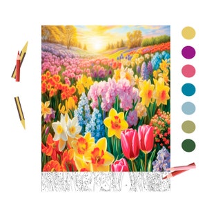 May include: A vibrant paint-by-numbers kit featuring a colorful field of flowers under a bright sunset. The image showcases daffodils, tulips, and hyacinths in shades of yellow, pink, red, and blue. Includes colored pencils and a color palette.