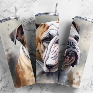 English bulldog 20oz sublimation tumbler design, tan white 9.2 x 8.3” straight tumbler wrap PNG