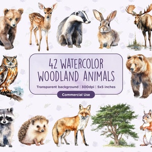 42 Clipart de animais da floresta em aquarela - ursos, árvores, texugos, corujas, cervos, coelhos, raposas, esquilos, lobos, download instantâneo, uso comercial