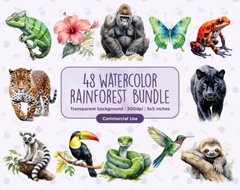 48 akvarell regnskogs clipart - gorillor, jaguarer, pantrar, kameleonter, leguaner, djungel, apor, omedelbar digital nedladdning, kommersiellt bruk