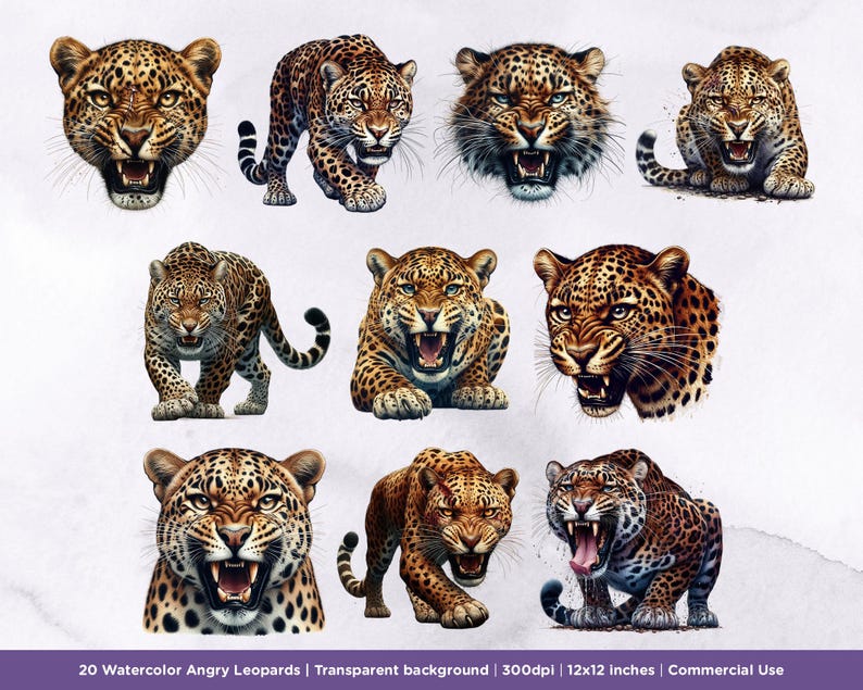 20 Watercolor Angry Leopards Clipart - Fierce, Wildlife Art, Animals ...
