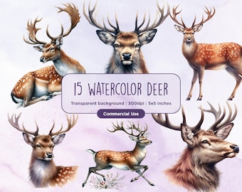 15 Watercolor Woodland Deer Clipart - Animals, Antlers, Stag, Buck, Reindeer, Doe, Wildlife, Rudolph, Instant download, Commercial Use