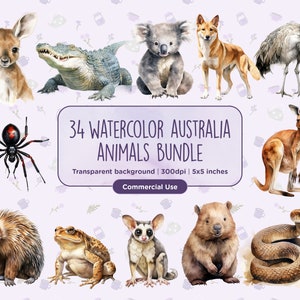 34 imágenes prediseñadas de animales australianos en acuarela: canguros, koalas, cocodrilos, tarántulas, wombats y arañas. Descarga digital instantánea. Uso comercial.