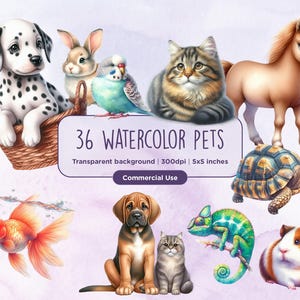 36 Watercolor Pets Clipart - Cute, Goldfish, Puppies, Kittens, Lizards, Snakes, Tortoise, Pet, Birds, Instant download, Commercial Use