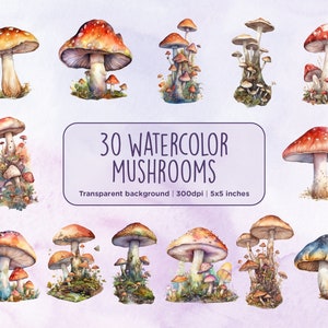 30 cliparts aquarelle de champignons - champignons magiques de la forêt enchantée, Fantasy Woodland Cottagecore, téléchargement numérique instantané, usage Commercial