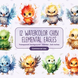 12 Acquerello illustrato Chibi Elemental Eagles Clipart - Ghiaccio, Fuoco, Elettrico, Terra, Lucente, PNG, Download digitale istantaneo, Uso commerciale