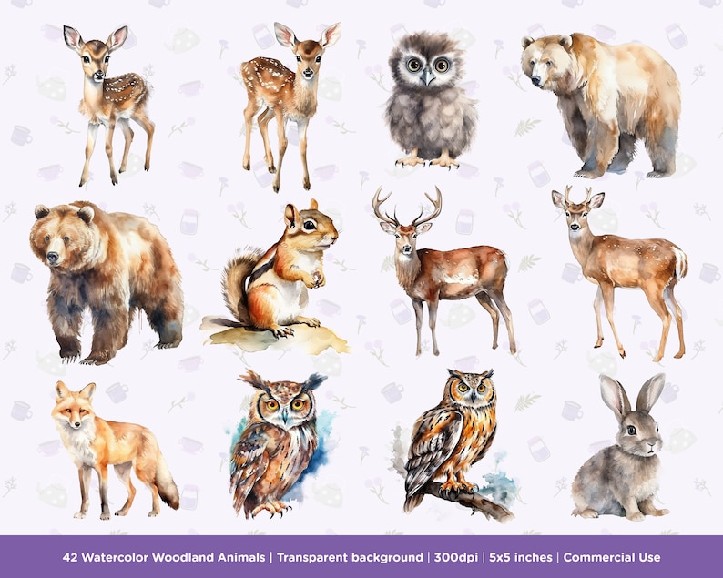 42 Watercolor Woodland Animals Clipart - Bear, Trees, Badgers, Owls ...