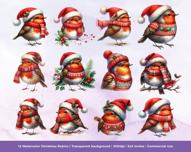 12 Watercolor Christmas Robins Clipart - PNG Winter Clipart PNG Santa ...