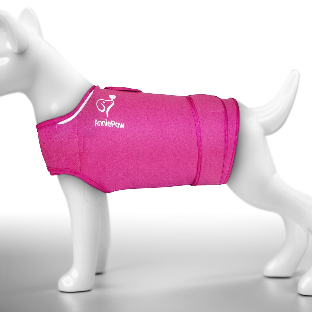 Anniepaw Soothing Thunder Vest for Dogs Antianxiety Comfort Etsy