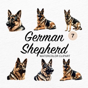 Watercolor German Shepherd Clipart - PNG instant digital download for commercial use personal projects