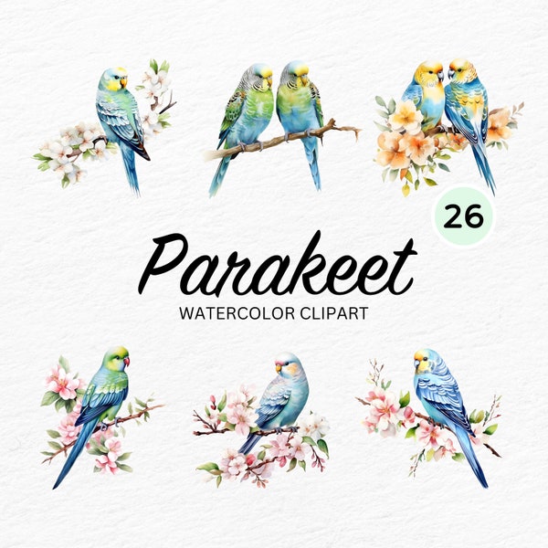 Watercolor Parakeet Budgie Clipart - PNG instant download for commercial use personal projects | Botanical Flower Birds | Bouquet | Leaves