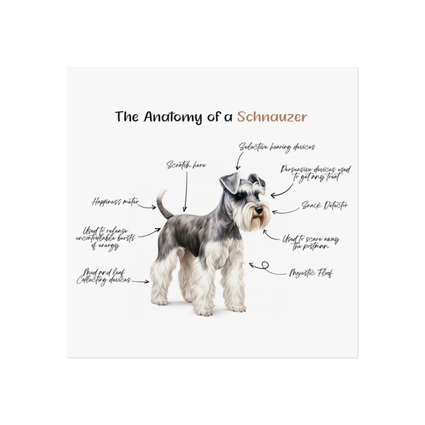 Anatomie d’un Schnauzer miniature Fine Art Print – Affiche drôle/Art mural, cadeau pour l’amant de Schnauzer/propriétaire de Schnauzer, décoration intérieure