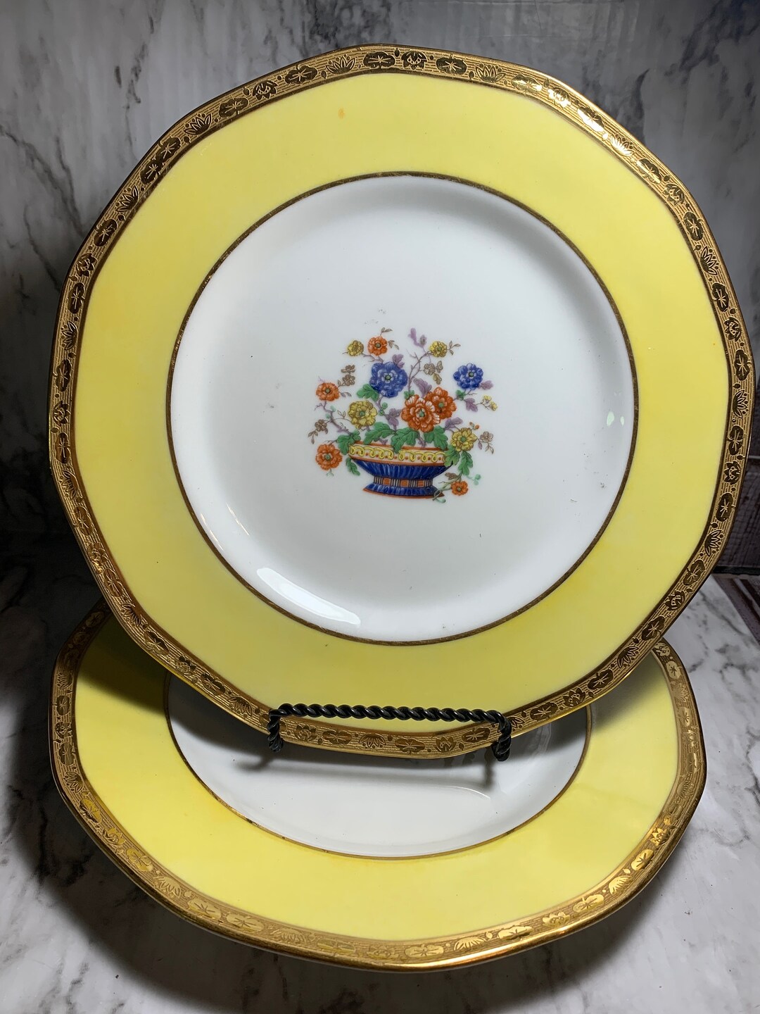 Antique Theodore Haviland Limoges France Set of 2 Dinner Etsy