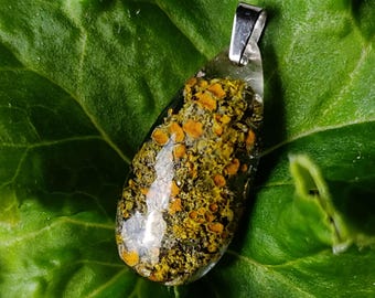 Lichen in Resin Pendant, Witchcraft Necklace, Goblincore Jewelry