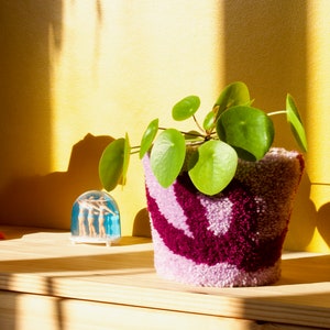 Könnte beinhalten: Eine grüne Pflanze mit runden Blättern in einem pinkfarbenen und violetten gehäkelten Topf auf einem Holzregal. Eine rosafarbene Dinosaurierfigur und eine Glaskugel mit drei kleinen Figuren befinden sich ebenfalls auf dem Regal.
