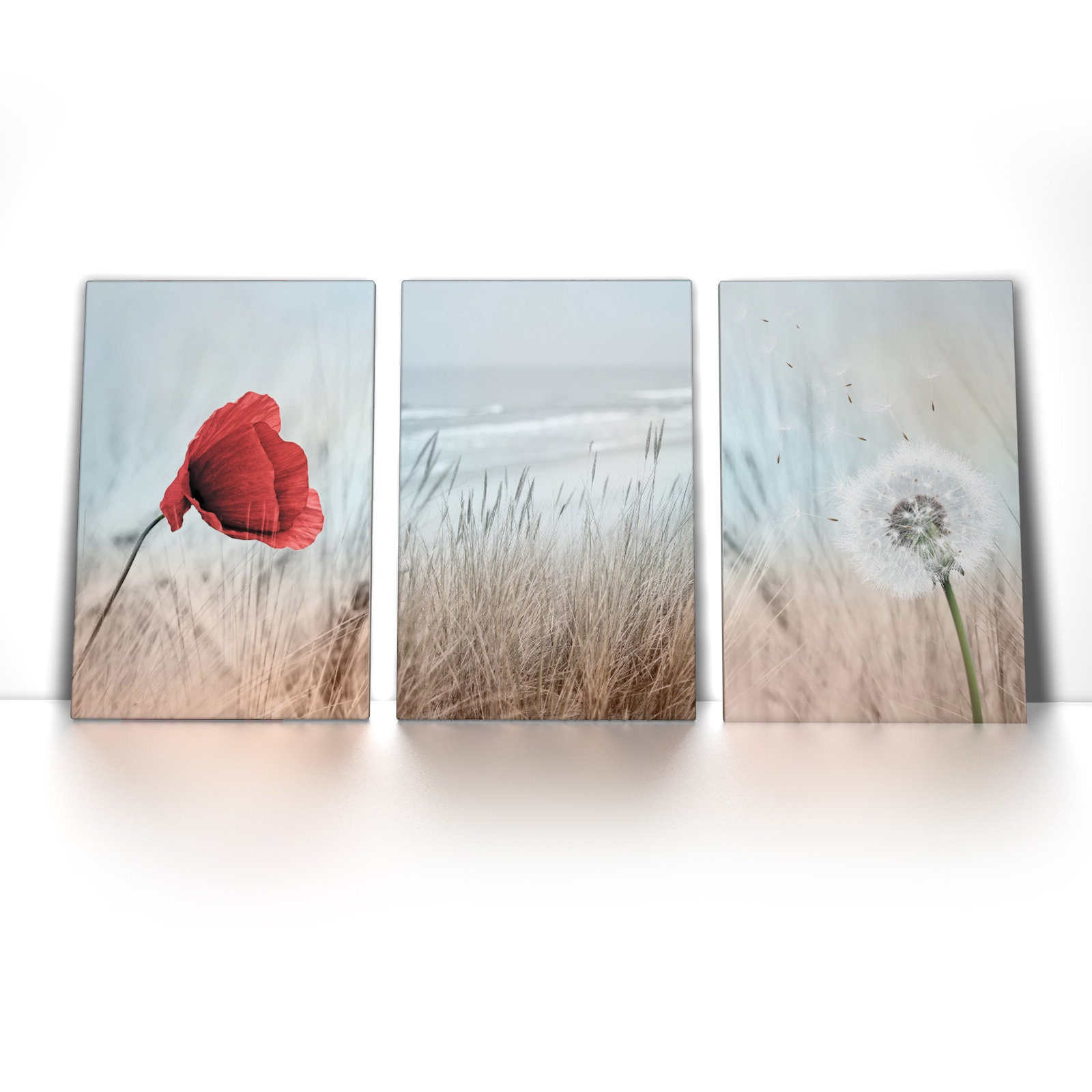 Wandbild pusteblume