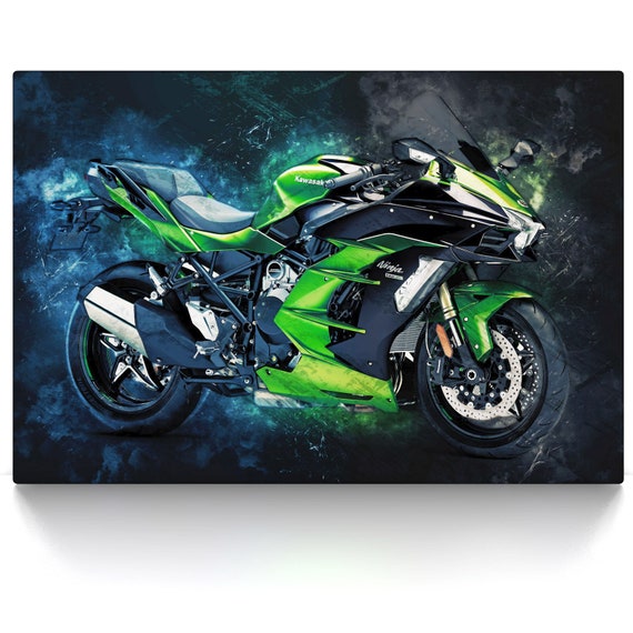 Kawasaki Ninja H2® SX, Motorcycle