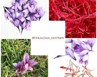 Pure Organic Saffron - Aromatic and Flavorful Spice for Your Dishes