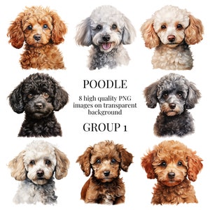 Clipart de caniche | PNG transparente de alta qualidade | Ilustração de cachorrinho em aquarela | Arte em parede para animais de estimação, artesanato em papel | Download Digital Instantâneo