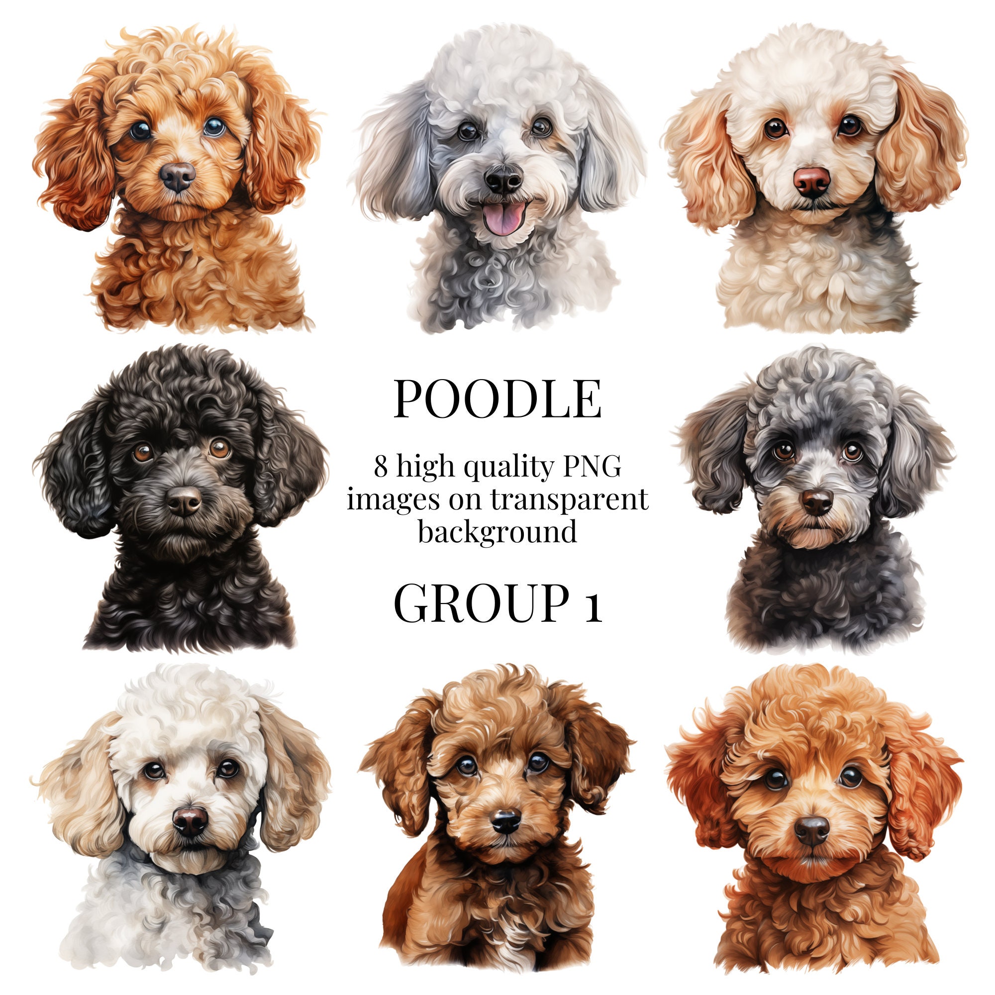 Black toy poodle - Etsy 日本 Black toy poodle - Etsy 日本