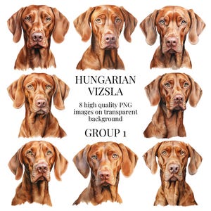 Hungarian Vizsla Clipart | High-Quality Transparent PNG | Watercolor Dog Illustration | Printable Paper Crafting | Instant Digital Download