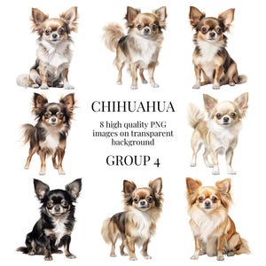 Chihuahua Clipart | High-Quality Transparent PNG | Watercolor Dog Illustration | Handmade Printable Paper Crafts | Instant Digital Download