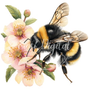 May include: A bumblebee with black and yellow stripes is collecting nectar from a cluster of pink and white flowers. The bee has fuzzy black and yellow stripes and is in focus. The flowers are out of focus.