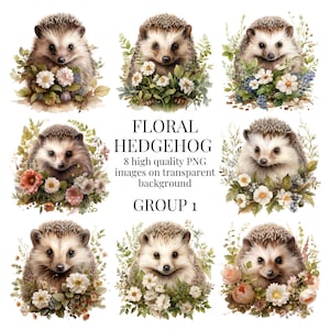 Clipart floral hérisson | PNG transparents de haute qualité | Illustration aquarelle | Animaux des bois, créations en papier | Téléchargement numérique instantané